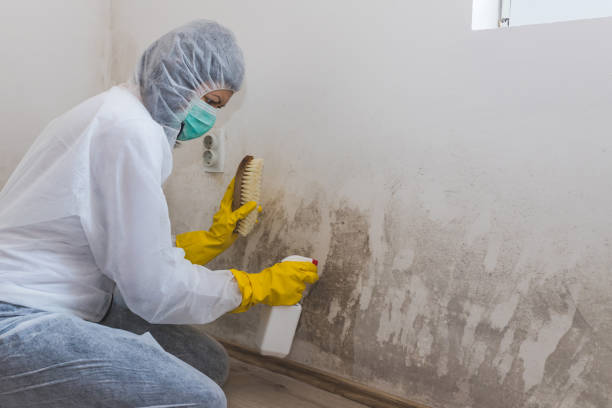 Best Crawl Space Mold Removal  in Prince George, VA
