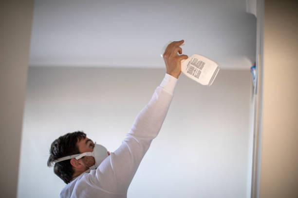 Best Attic Mold Removal  in Prince George, VA