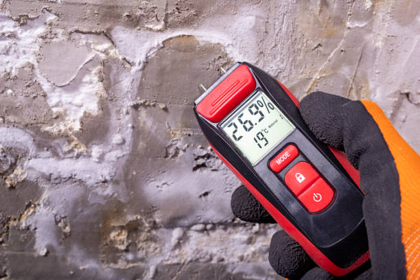  Prince George, VA Mold Removal Pros