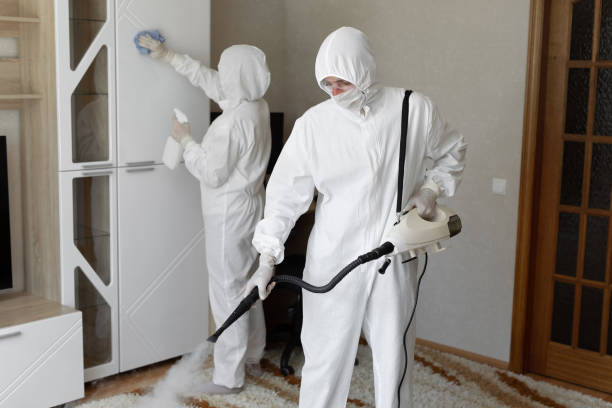 Best Mold Damage Repair  in Prince George, VA