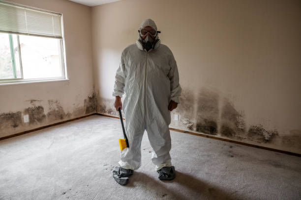 Best Toxic Mold Removal  in Prince George, VA